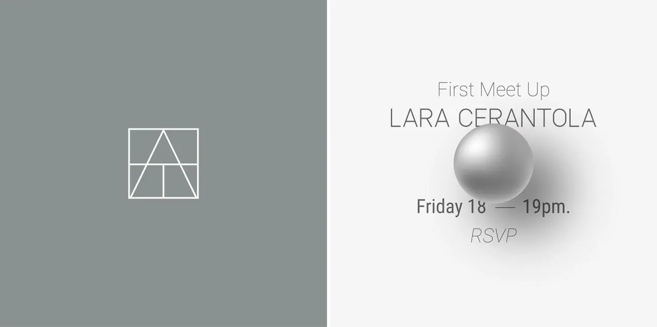 Lara Cerantola — aplicação 6 da identidade visual