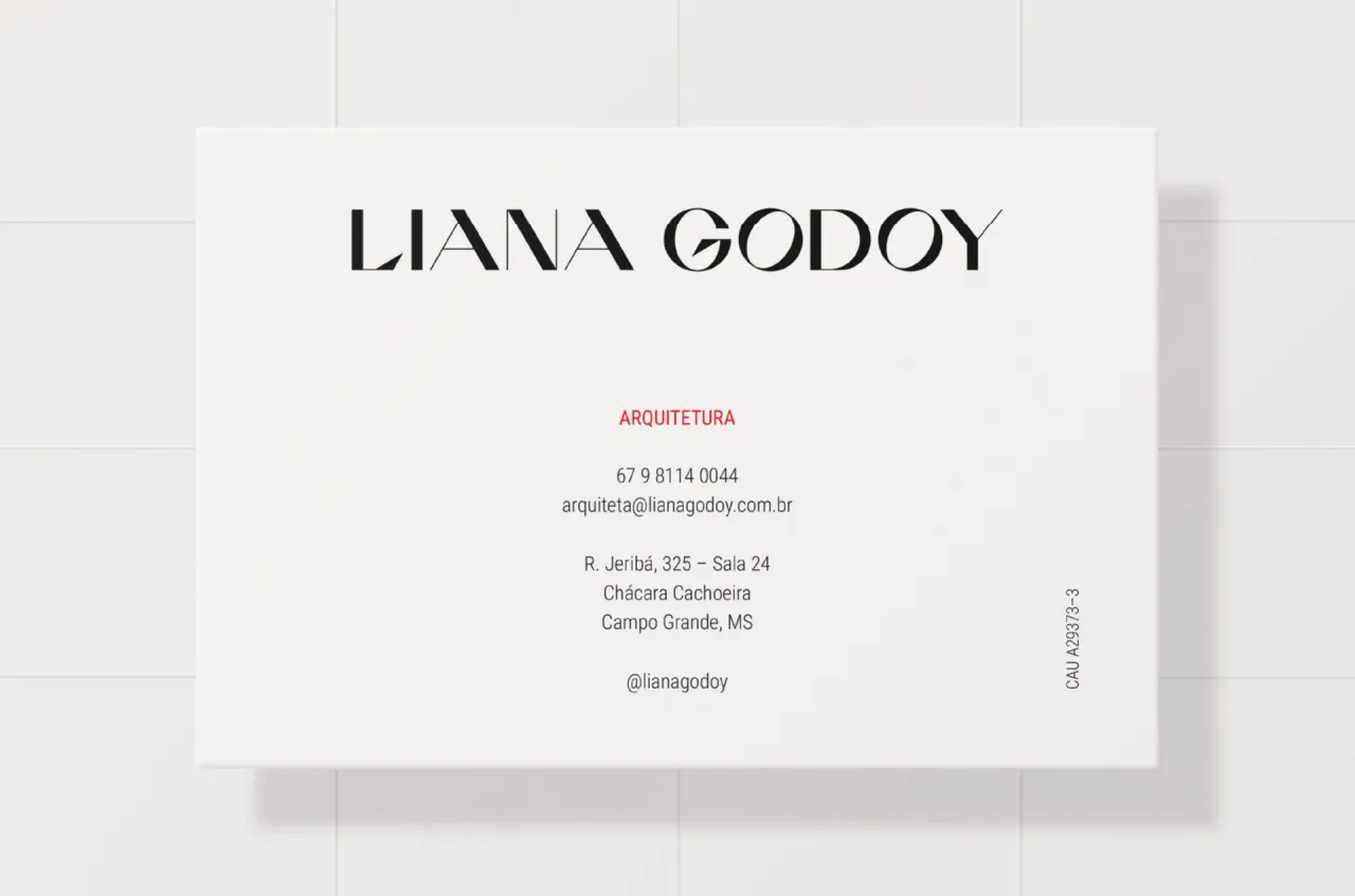 Liana Godoy — aplicação 8 da identidade visual